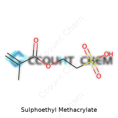Sulphoethyl Methacrylate